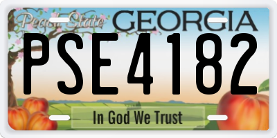 GA license plate PSE4182