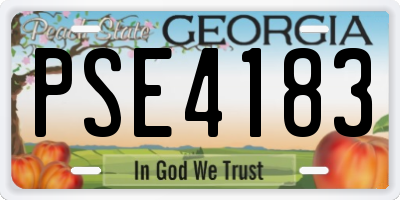 GA license plate PSE4183