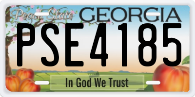 GA license plate PSE4185