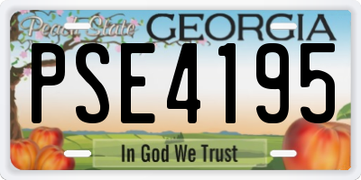 GA license plate PSE4195