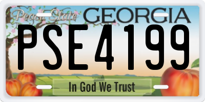 GA license plate PSE4199