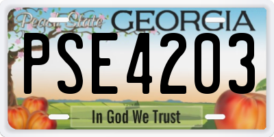 GA license plate PSE4203