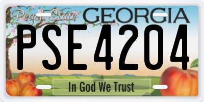 GA license plate PSE4204
