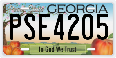 GA license plate PSE4205