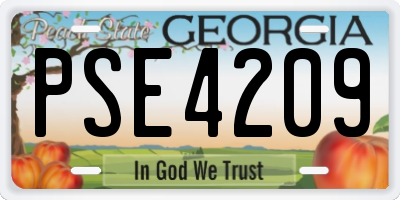 GA license plate PSE4209