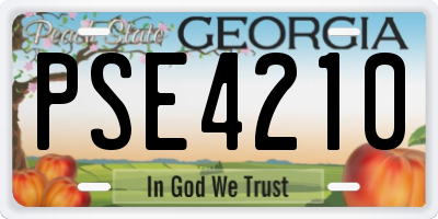 GA license plate PSE4210