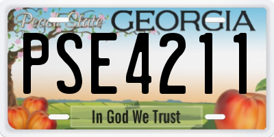 GA license plate PSE4211