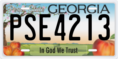 GA license plate PSE4213