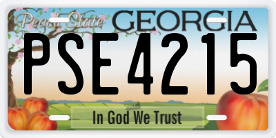 GA license plate PSE4215