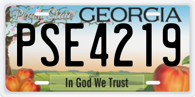 GA license plate PSE4219