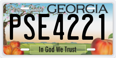 GA license plate PSE4221
