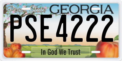 GA license plate PSE4222