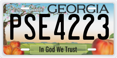 GA license plate PSE4223