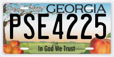 GA license plate PSE4225