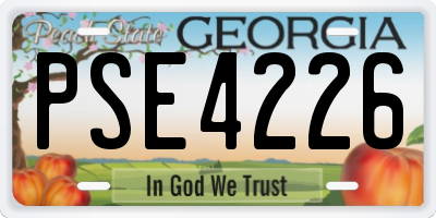 GA license plate PSE4226