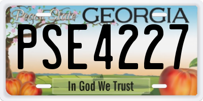 GA license plate PSE4227