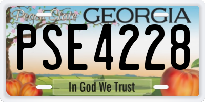 GA license plate PSE4228