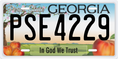 GA license plate PSE4229