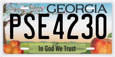 GA license plate PSE4230