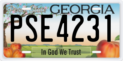 GA license plate PSE4231
