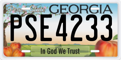 GA license plate PSE4233