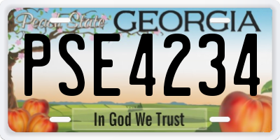 GA license plate PSE4234