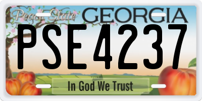 GA license plate PSE4237