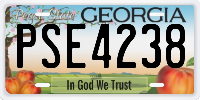 GA license plate PSE4238