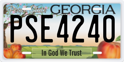 GA license plate PSE4240