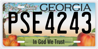 GA license plate PSE4243