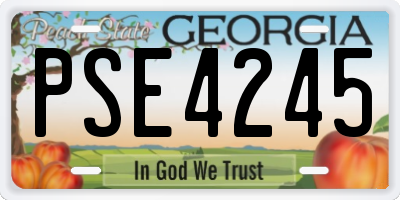 GA license plate PSE4245