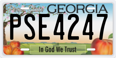 GA license plate PSE4247