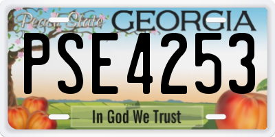 GA license plate PSE4253