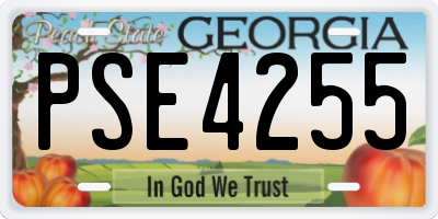 GA license plate PSE4255