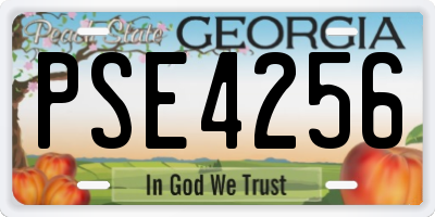 GA license plate PSE4256