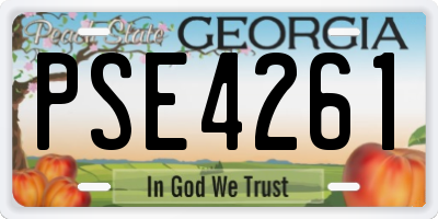 GA license plate PSE4261