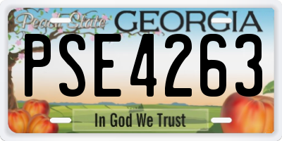 GA license plate PSE4263