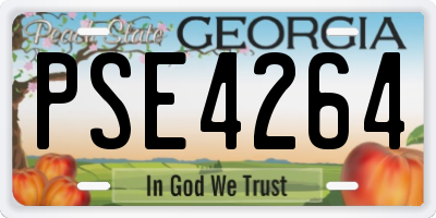 GA license plate PSE4264