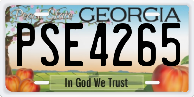 GA license plate PSE4265
