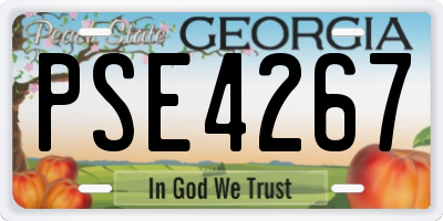 GA license plate PSE4267