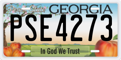 GA license plate PSE4273
