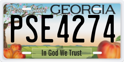 GA license plate PSE4274