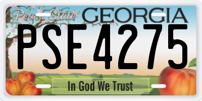 GA license plate PSE4275