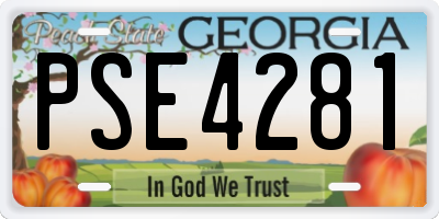 GA license plate PSE4281