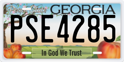 GA license plate PSE4285
