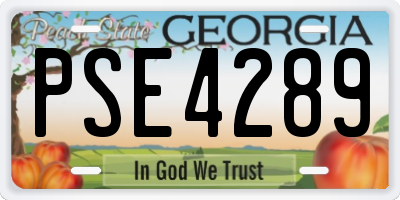 GA license plate PSE4289