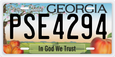 GA license plate PSE4294