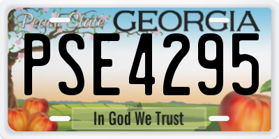 GA license plate PSE4295