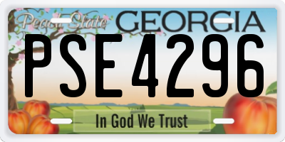 GA license plate PSE4296