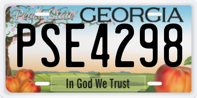 GA license plate PSE4298